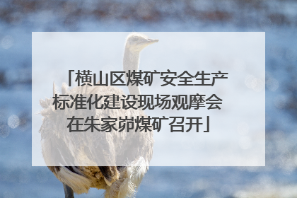 横山区煤矿安全生产标准化建设现场观摩会在朱家峁煤矿召开