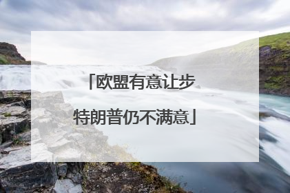 欧盟有意让步 特朗普仍不满意