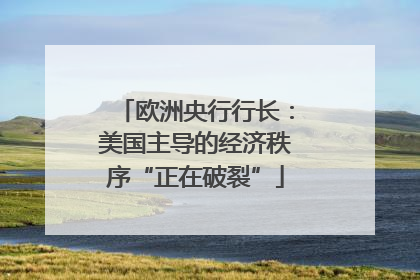 欧洲央行行长：美国主导的经济秩序“正在破裂”
