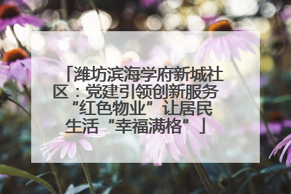 潍坊滨海学府新城社区：党建引领创新服务 “红色物业”让居民生活“幸福满格”