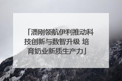 潘刚领航伊利推动科技创新与数智升级 培育奶业新质生产力