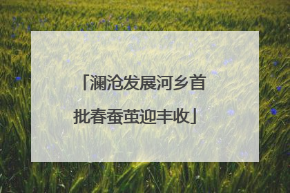 澜沧发展河乡首批春蚕茧迎丰收