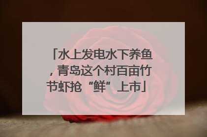 水上发电水下养鱼，青岛这个村百亩竹节虾抢“鲜”上市
