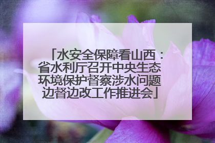 水安全保障看山西：省水利厅召开中央生态环境保护督察涉水问题边督边改工作推进会