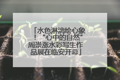 水色淋漓绘心象！“心中的自然”周崇涨水彩写生作品展在临安开幕