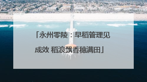 永州零陵：早稻管理见成效 稻浪飘香穗满田