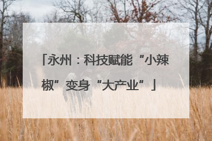 永州：科技赋能“小辣椒”变身“大产业”