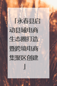 永春县启动县域电商生态圈打造暨跨境电商集聚区创建