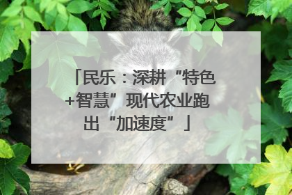 民乐：深耕“特色+智慧”现代农业跑出“加速度”
