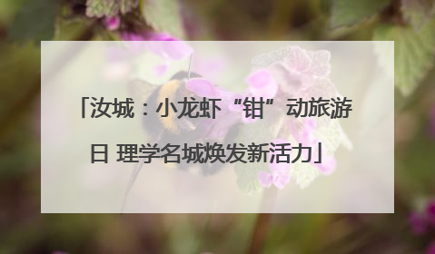 汝城：小龙虾“钳”动旅游日 理学名城焕发新活力