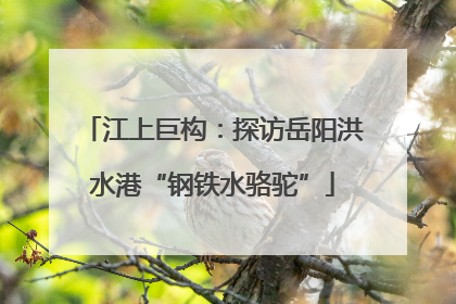 江上巨构：探访岳阳洪水港“钢铁水骆驼”