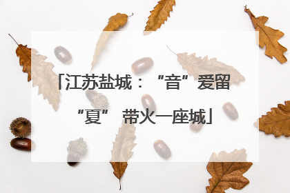 江苏盐城：“音”爱留“夏” 带火一座城