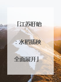 江苏盱眙：水稻插秧全面展开