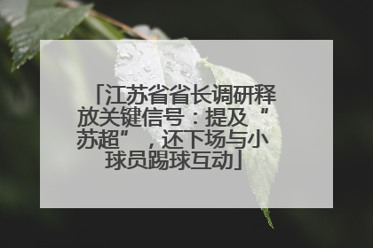 江苏省省长调研释放关键信号：提及“苏超”，还下场与小球员踢球互动