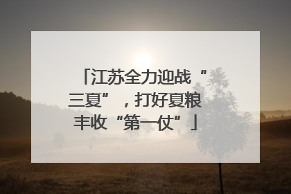 江苏全力迎战“三夏”，打好夏粮丰收“第一仗”