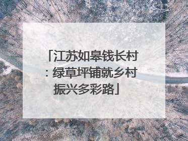 江苏如皋钱长村：绿草坪铺就乡村振兴多彩路