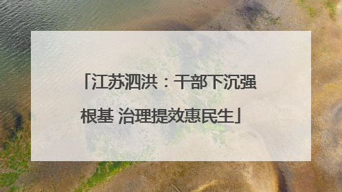 江苏泗洪：干部下沉强根基 治理提效惠民生