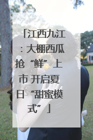 江西九江：大棚西瓜抢“鲜”上市 开启夏日“甜蜜模式”
