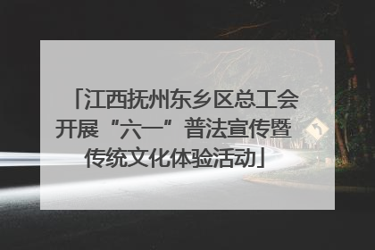 江西抚州东乡区总工会开展“六一”普法宣传暨传统文化体验活动
