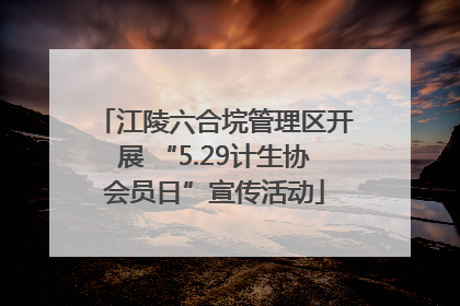 江陵六合垸管理区开展 “5.29计生协会员日”宣传活动