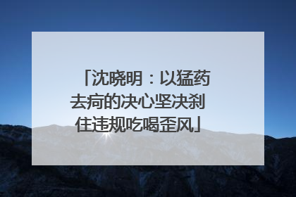 沈晓明：以猛药去疴的决心坚决刹住违规吃喝歪风