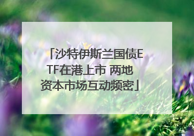 沙特伊斯兰国债ETF在港上市 两地资本市场互动频密