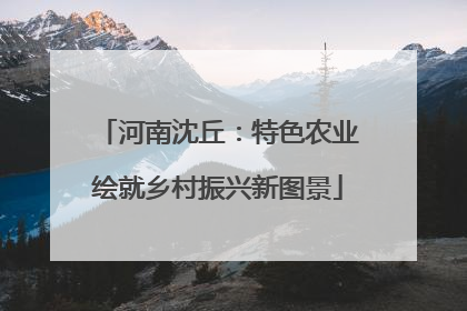 河南沈丘：特色农业绘就乡村振兴新图景