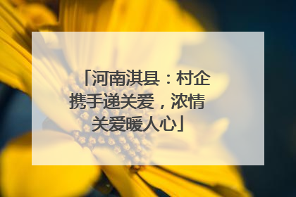 河南淇县：村企携手递关爱，浓情关爱暖人心