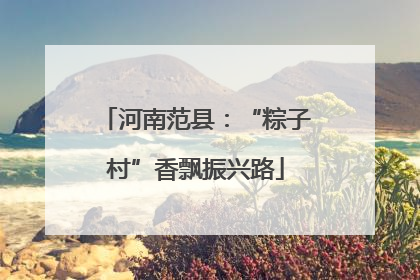 河南范县:“粽子村”香飘振兴路