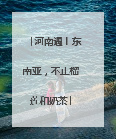 河南遇上东南亚，不止榴莲和奶茶