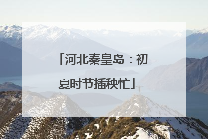 河北秦皇岛：初夏时节插秧忙