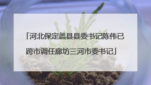 河北保定蠡县县委书记陈伟已跨市调任廊坊三河市委书记