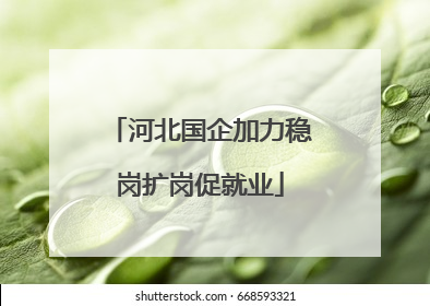河北国企加力稳岗扩岗促就业