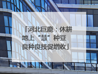 河北巨鹿：休耕地上“慧”种豆 良种良技促增收