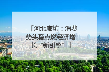 河北廊坊：消费势头稳点燃经济增长“新引擎”