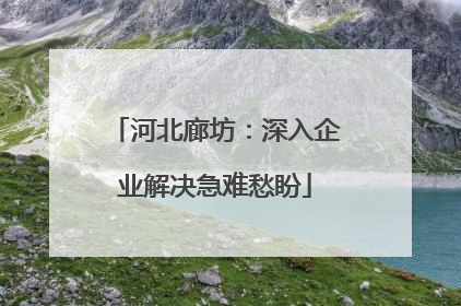 河北廊坊：深入企业解决急难愁盼