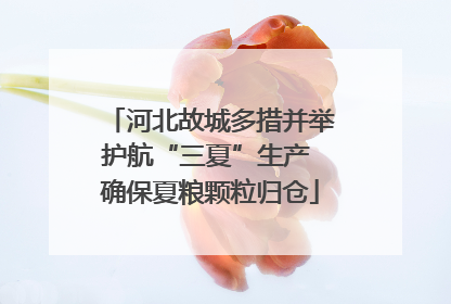 河北故城多措并举护航“三夏”生产 确保夏粮颗粒归仓