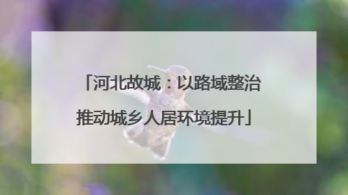 河北故城：以路域整治推动城乡人居环境提升