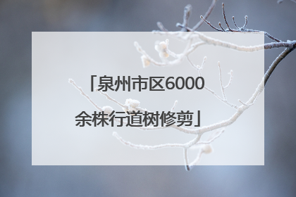 泉州市区6000余株行道树修剪