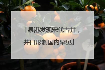 泉港发现宋代古井，井口形制国内罕见