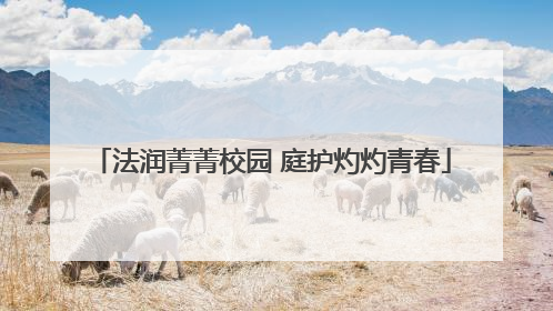 法润菁菁校园 庭护灼灼青春