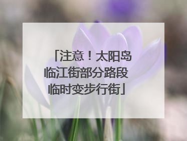 注意！太阳岛临江街部分路段临时变步行街