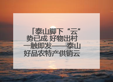 泰山脚下“云”势已成 好物出村一触即发——泰山好品农特产供销云仓即将启用