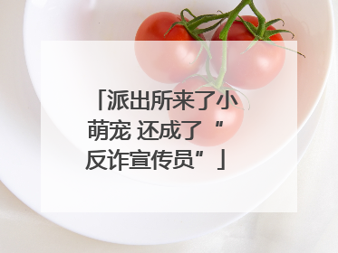 派出所来了小萌宠 还成了“反诈宣传员”