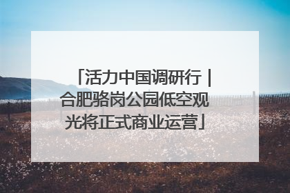 活力中国调研行｜合肥骆岗公园低空观光将正式商业运营