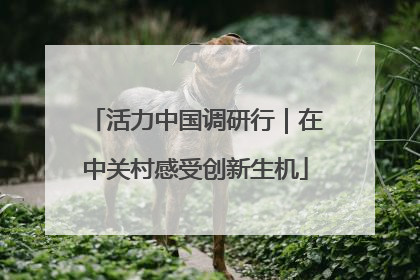 活力中国调研行｜在中关村感受创新生机