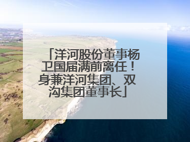 洋河股份董事杨卫国届满前离任！身兼洋河集团、双沟集团董事长