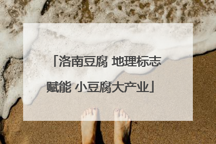 洛南豆腐 地理标志赋能 小豆腐大产业
