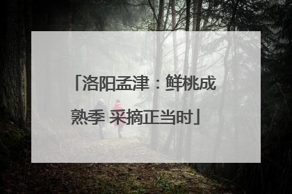 洛阳孟津：鲜桃成熟季 采摘正当时