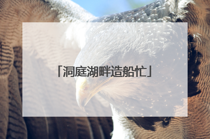 洞庭湖畔造船忙